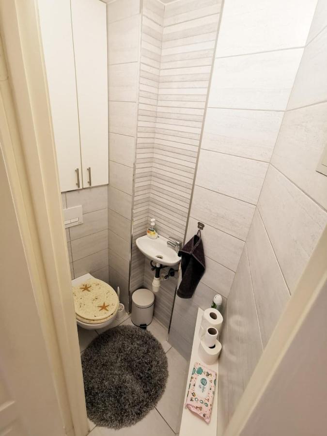 Bright, Spacious Apartment 3 Bedroom, Garage ブダペスト エクステリア 写真