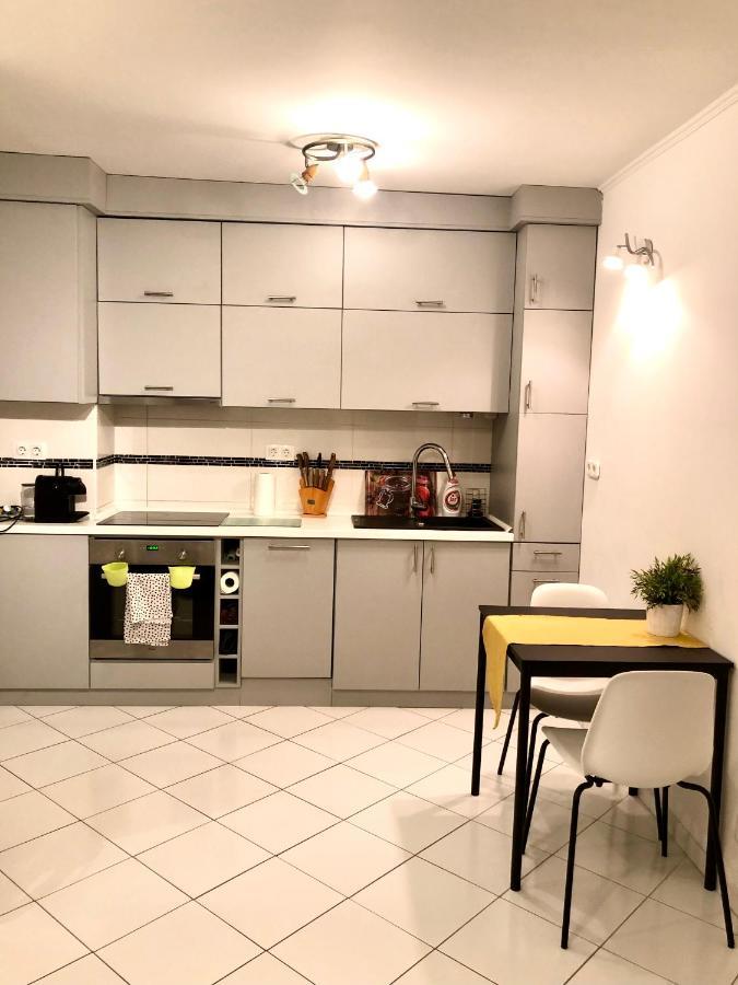 Bright, Spacious Apartment 3 Bedroom, Garage ブダペスト エクステリア 写真